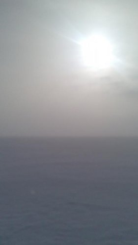 вот она какая погода-манго