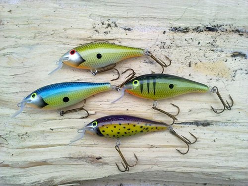 17022013271.jpg (146.87 КБ) 26253 просмотра ива. 7см, рабочий горизонт около 1.5м