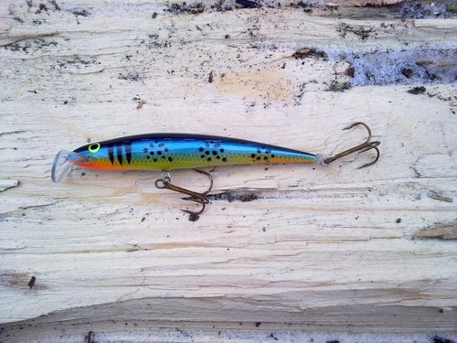 17022013273.jpg (152.23 КБ) 26165 просмотров ива, 12см. среднечастотный, среднеамплитудный. рабочий горизонт 1.5м.