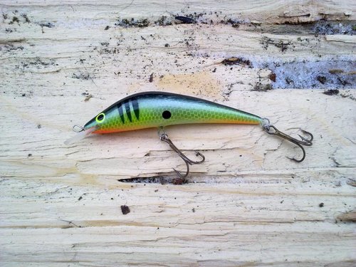 17022013274.jpg (152.22 КБ) 26165 просмотров ольха, среднечастотный, игра агрессивная, амплитудная. несмотря на большую амплитуду очень стабильный. заглубление метр.