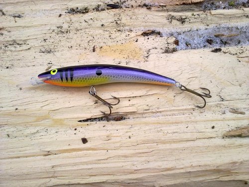 17022013275.jpg (155.23 КБ) 26117 просмотров лоза, 10см, рабочий горизонт около 2.5м. игра плавная, среднечастотная, среднеамплитудная.