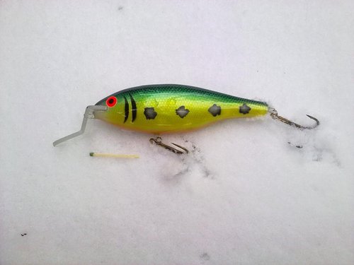 11032013301.jpg (62.15 КБ) 26027 просмотров 15см, ива.