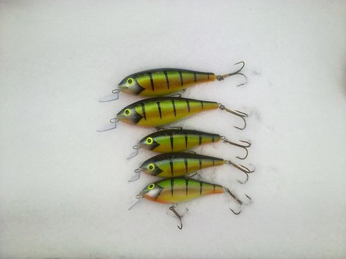 11032013282.jpg (56.97 КБ) 25962 просмотра ива, 7 и 10см. огрузка на 2/3. заглубление 1.5 и 2-2.5м соотв.