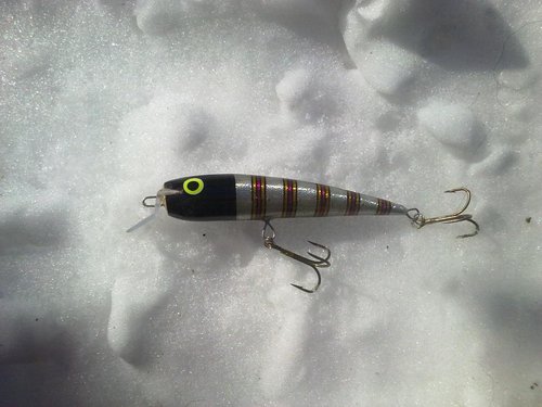 29032013349.jpg (102.31 КБ) 25807 просмотров ива, 8см.