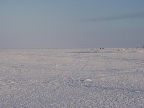 P3295936.JPG