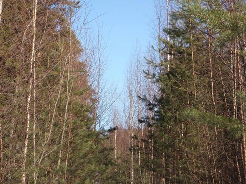 P3295952.JPG
