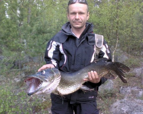x_a9f9b90c.jpg (67.84 КБ) 2903 просмотра Это 8-рик из лесного озера под Выборгом