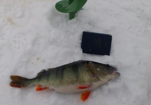 Бур 150 мм и паспорт для сравнения