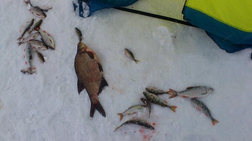 DSC_0924.jpg (76.97 КБ) 3106 просмотров 1 кг 700 гр - 150 мм бур пригодился!