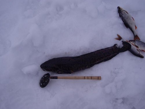 а это мне подарок от Озера