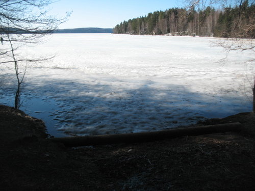 IMG_7304.JPG (165.18 КБ) 10328 просмотров IMG_7304.JPG