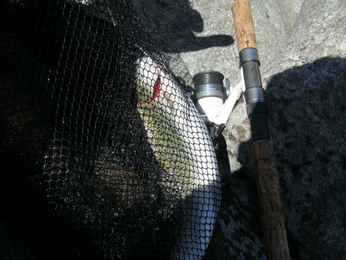 1st-seatrout-from-sea.jpg