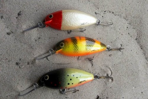 130509 (1).JPG (142.48 КБ) 8300 просмотров абачи 65мм 14,4 14,8 15,3 пл.