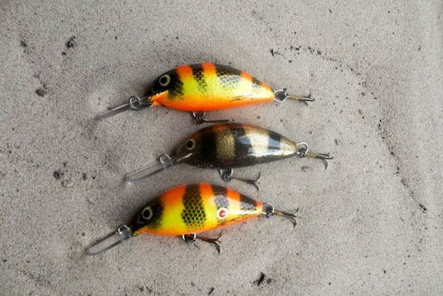 130509 (2).JPG (155.85 КБ) 8301 просмотр абачи 60мм 11,5 11,8 12,3 пл.