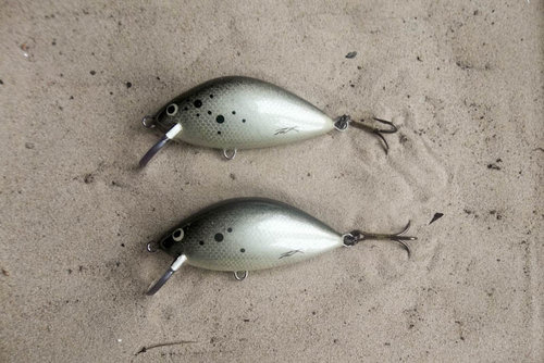 130512 (4).JPG (126.38 КБ) 8256 просмотров абачи 80мм 30,1 31,1 пл. Ебро-Зилзитеры