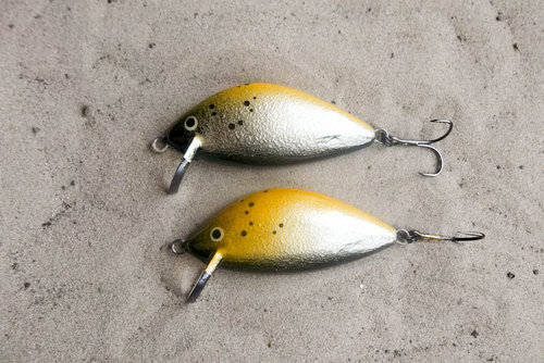 130517 (3).JPG (137.2 КБ) 7666 просмотров ольха 80мм 30,3 31,7 пл. Ебро Зилзитеры