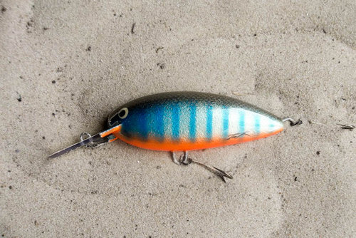 130524 (1).JPG (146.33 КБ) 7580 просмотров ольха 85мм 27,8 пл.