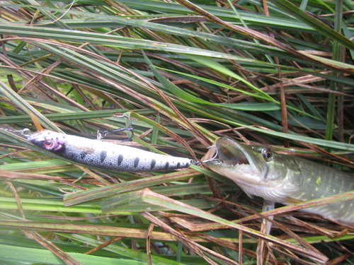 129022321.jpg (173.77 КБ) 12455 просмотров 129022321.jpg