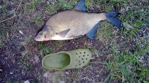 WP_20130607_004.jpg