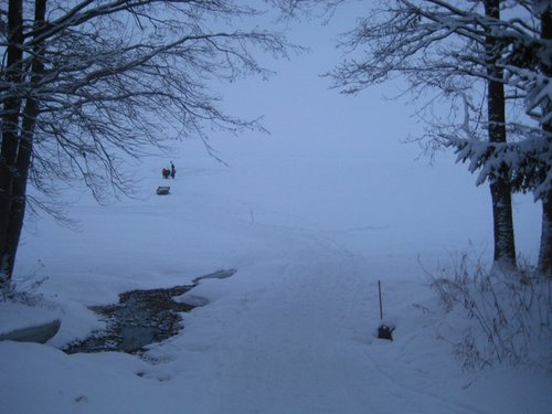 Дорога в сторону дома