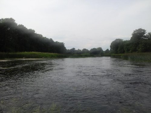 20130630_161816.jpg