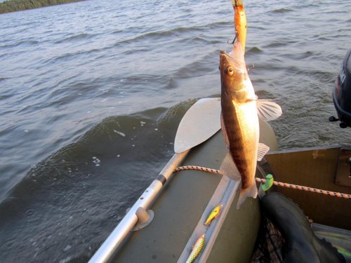 О4.jpg (93.21 КБ) 1784 просмотра Озёрные судочки желают такую-же расцветку!