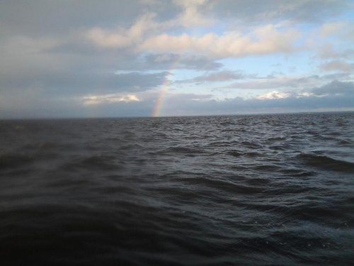 2013-07-20 06.20.11.jpg