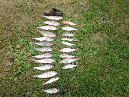 2013-07-20 09.12.01.jpg