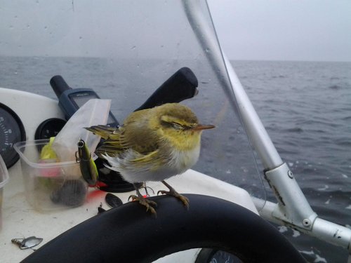 2013-07-27 06.49.06.jpg