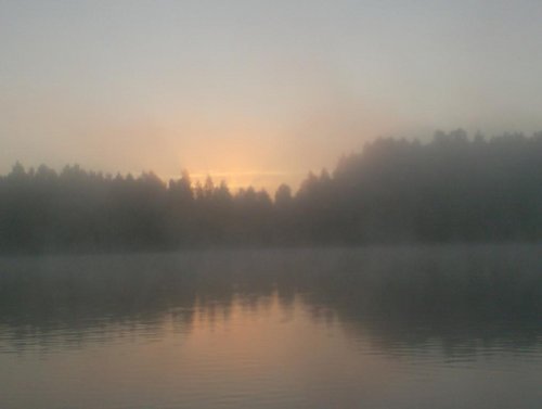 009.JPG