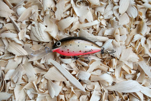 130805 (1).JPG (166.04 КБ) 8116 просмотров абачи 60мм 11,2 пл.