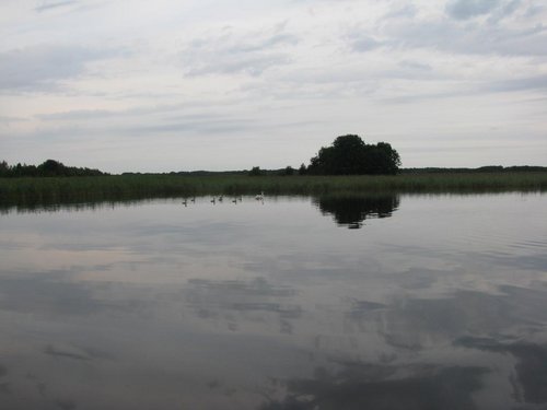 IMG_6325.JPG