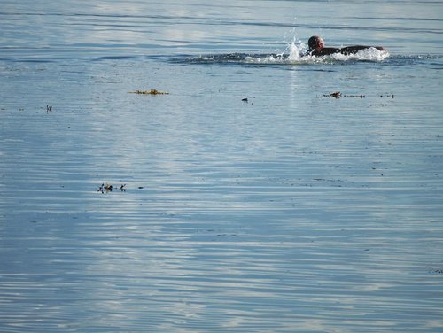 100_5460.JPG
