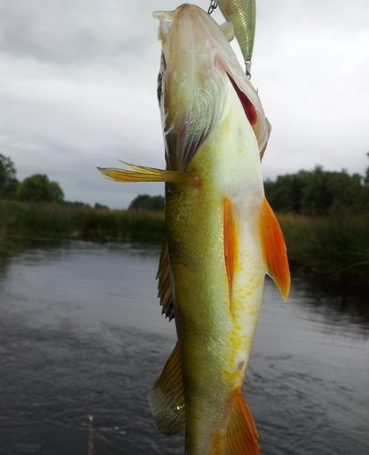 20130820_160007.jpg