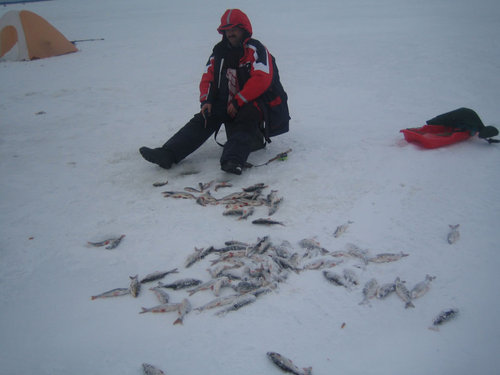 ...Процесс идет...