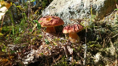 WP_20130828_001.jpg