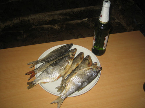 Плотва вяленная - ЧУДСКАЯ 2011