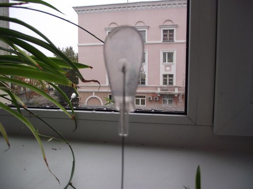 DSCF1047.JPG