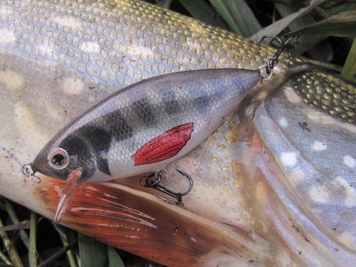 На воблере применено 8 цветов. Белый, чёрный, коричневый, зеленоватый,серебристый,золотой,красный,перламутровый,