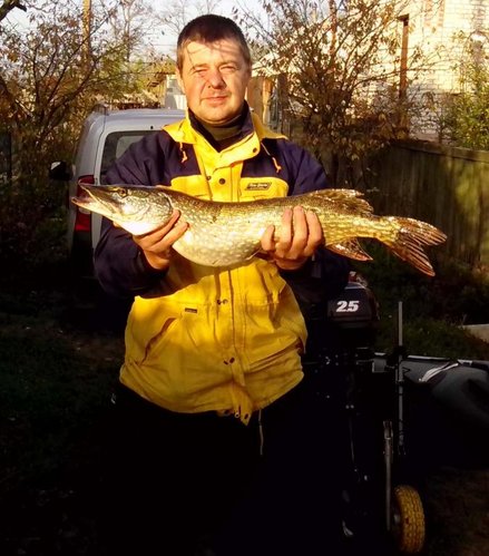 IMG_20131102_152028.jpg (83.76 КБ) 2580 просмотров 3.2 кг