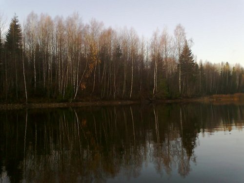 2013-11-02-383[1].jpg