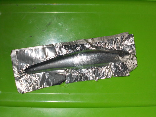 DSCN3388.JPG