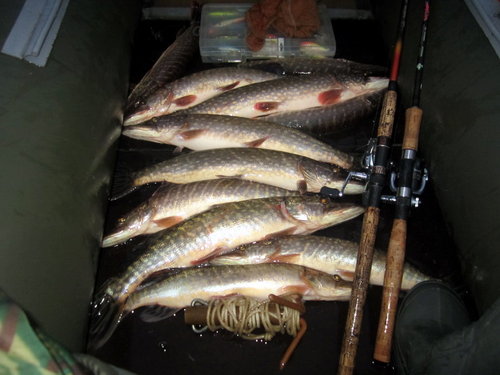 ял5.jpg (159.27 КБ) 2890 просмотров Итого. На уху друзьям...