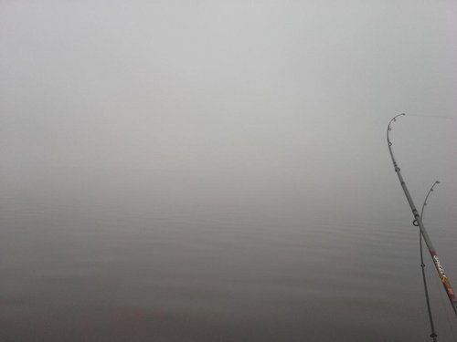 20131123_122228.jpg
