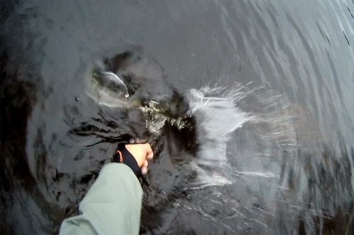 kumzha-c&r.jpg (215.71 КБ) 2173 просмотра Он же или она же? C&R. Прошу прощение за качество - вырезал кадр из видео.