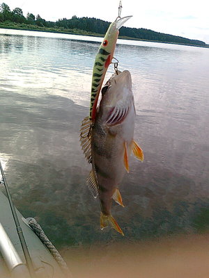 Изображение 594.jpg (119.38 КБ) 1707 просмотров сегодня полосатый рулил