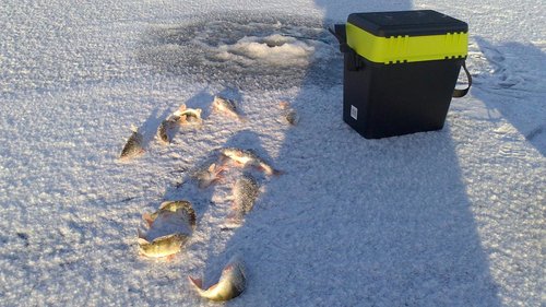 Удачная лунка