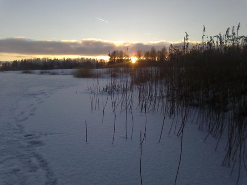2014-01-20-489[1].jpg