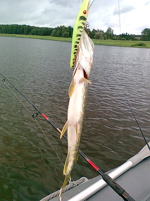 Изображение 607.jpg