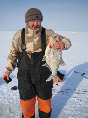 Трофейный ЛЕЩ